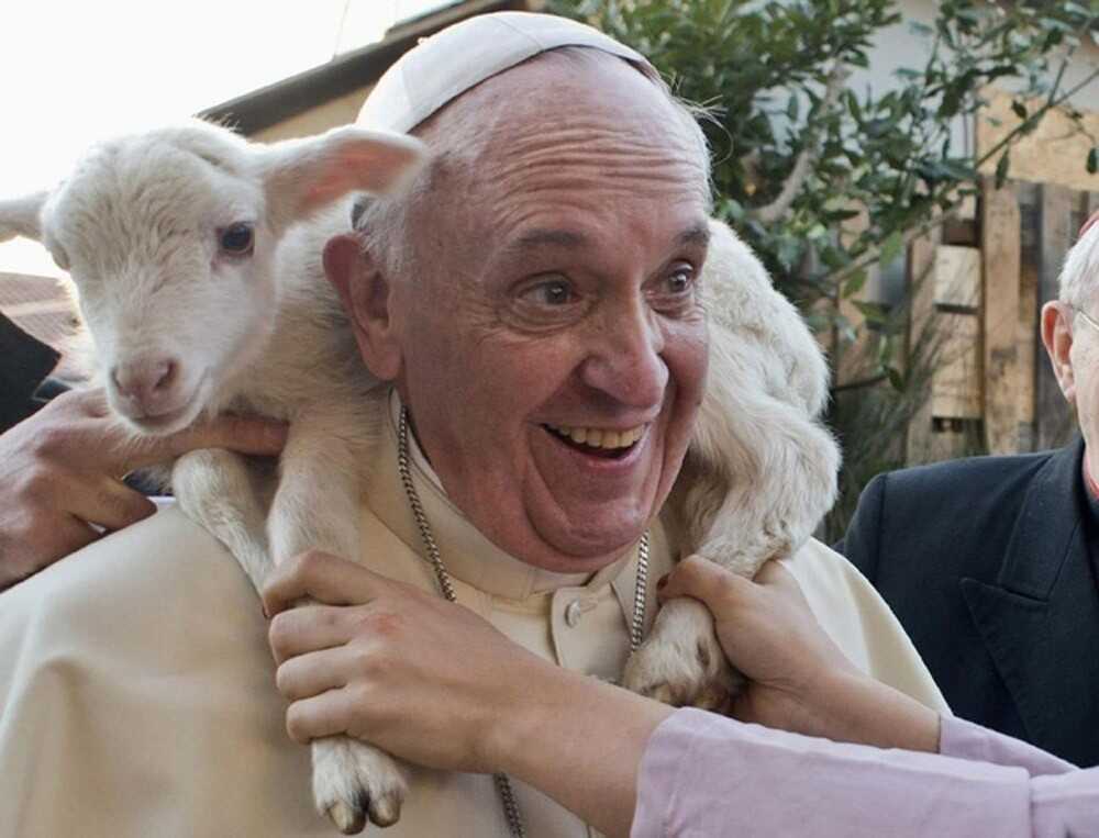 Pope Francis: Follow the Good Shepherd - Saints are the Most Effective Evangelizers